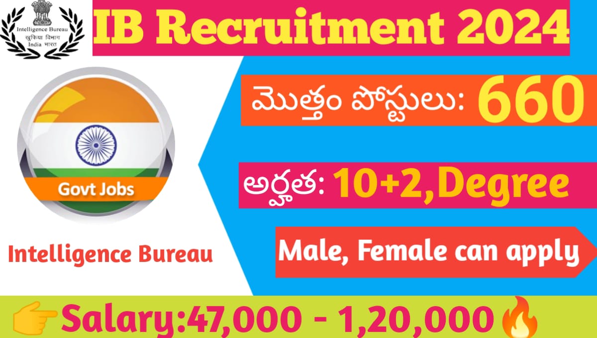 IB Recruitment 2024