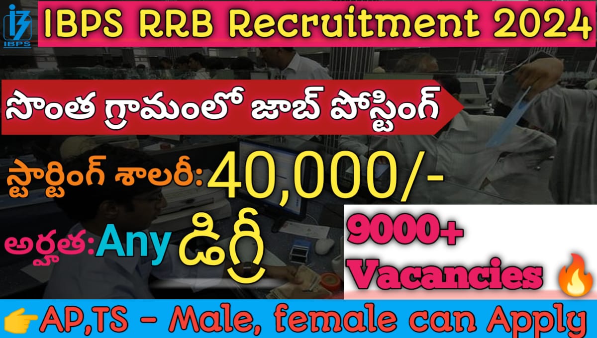 IBPS RRB Recruitment 2024