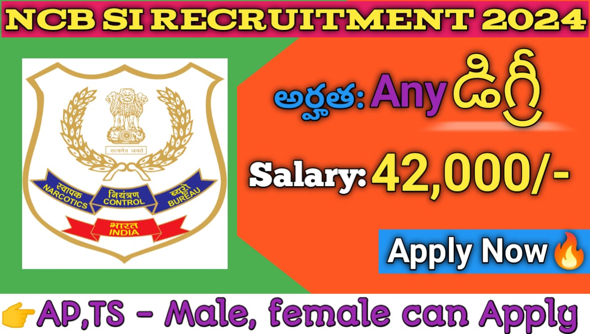 NCB SI Recruitment 2024