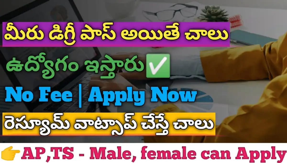 Tally operator jobs in hyderabad 2024