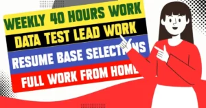 Data Test Lead Work From Home Jobs 2024